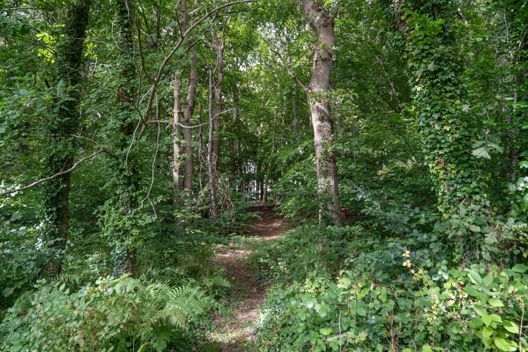 Gite 9 Personnes Fecamp Etretat Colleville Exterior foto
